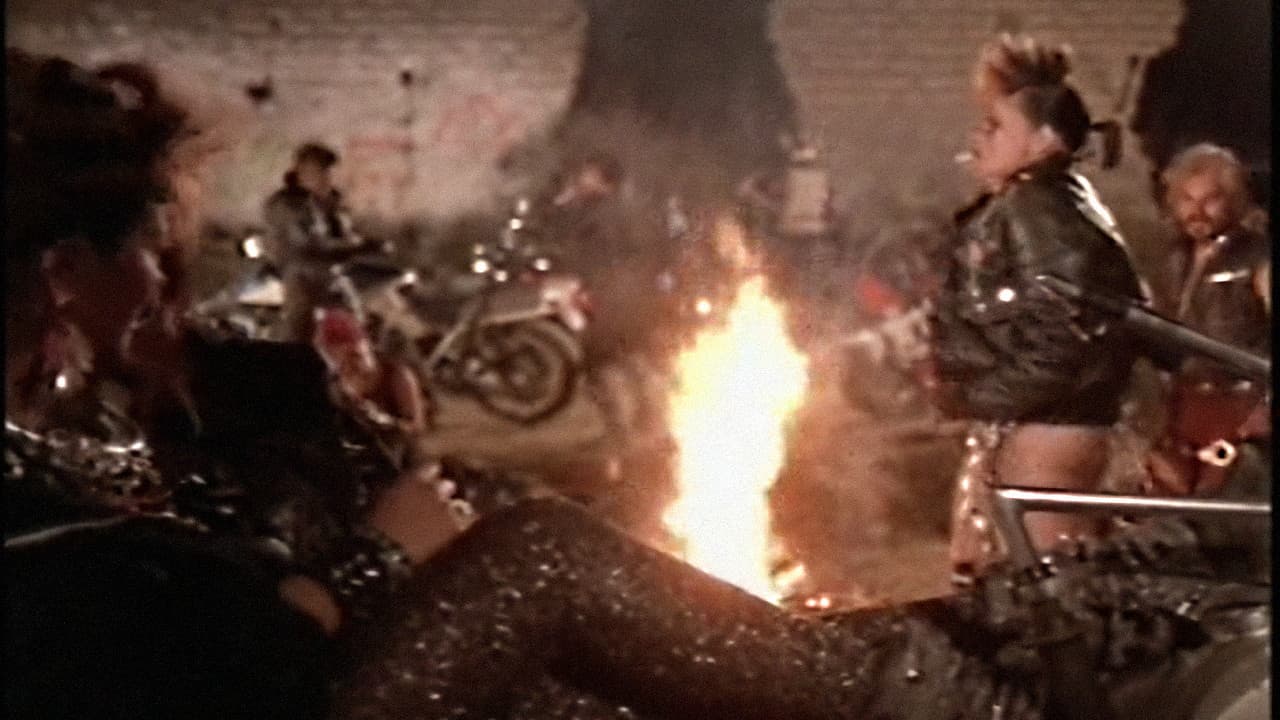 Intrépidos punks Collection