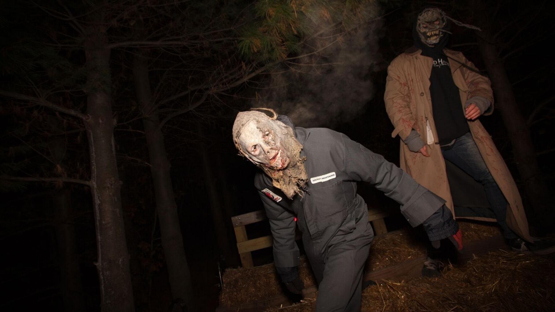 Halloween: Buscando el terror 2