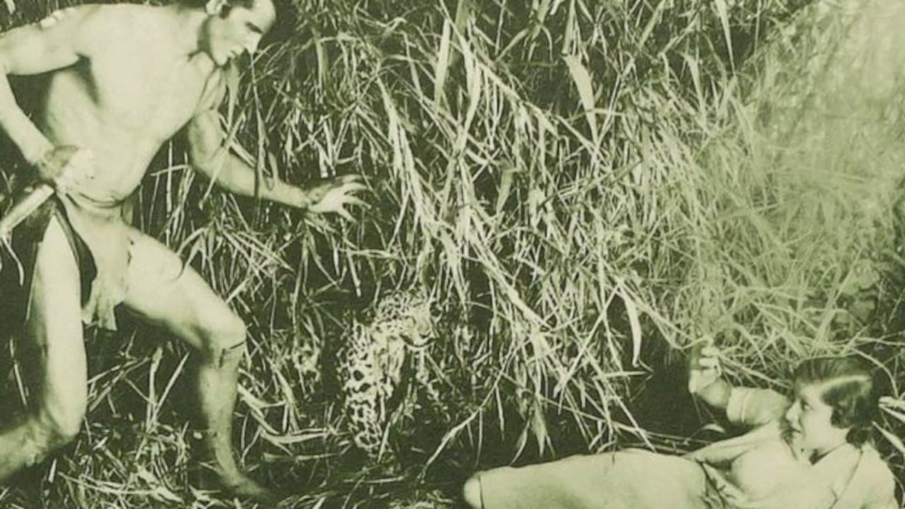 Tarzan (Bruce Bennett) Collection