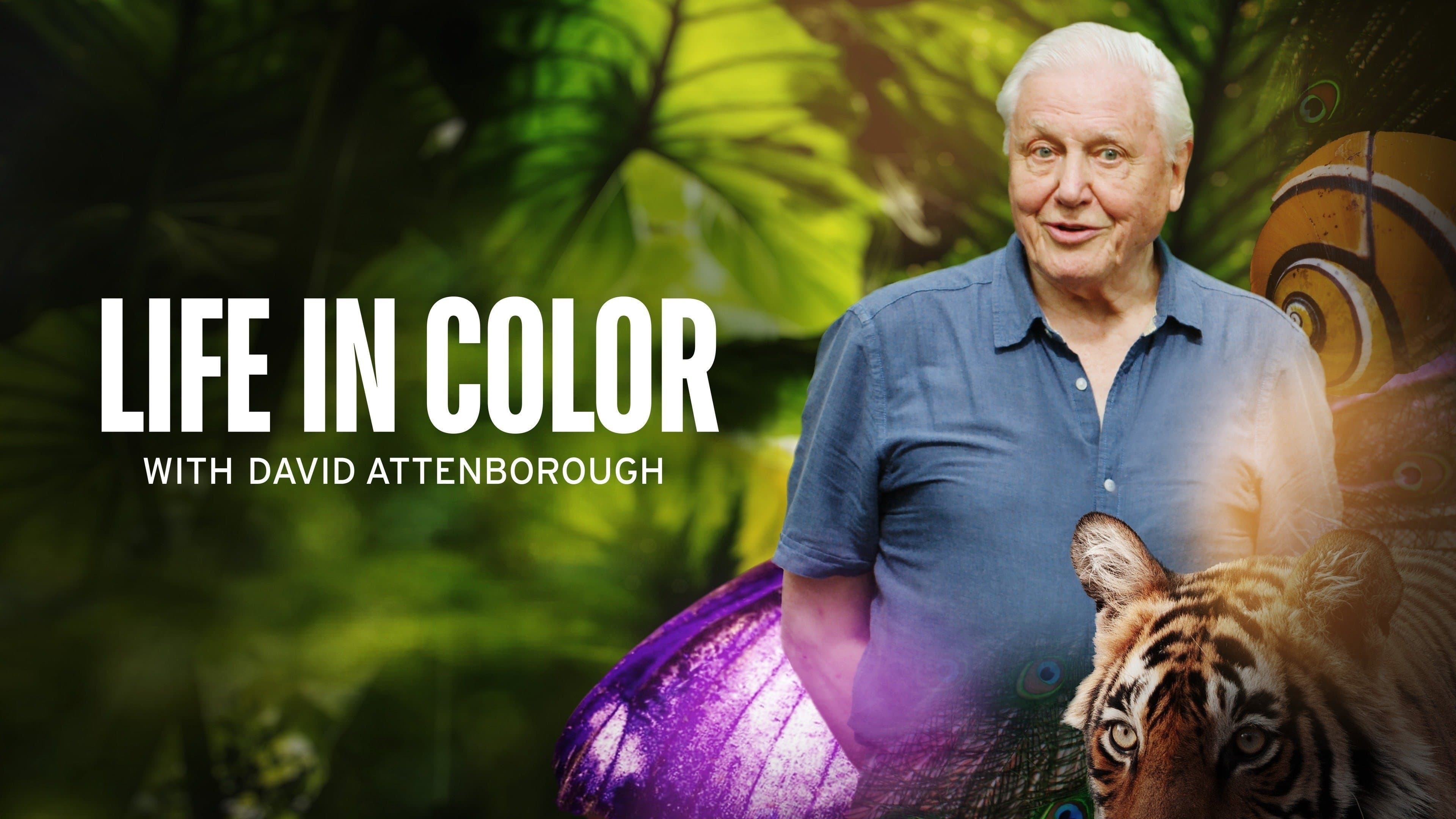 La vida a color con David Attenborough