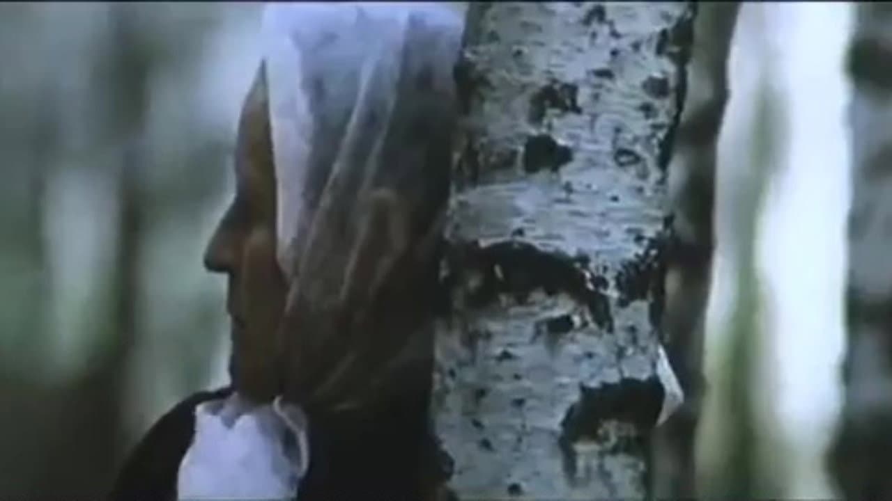 Солдатки