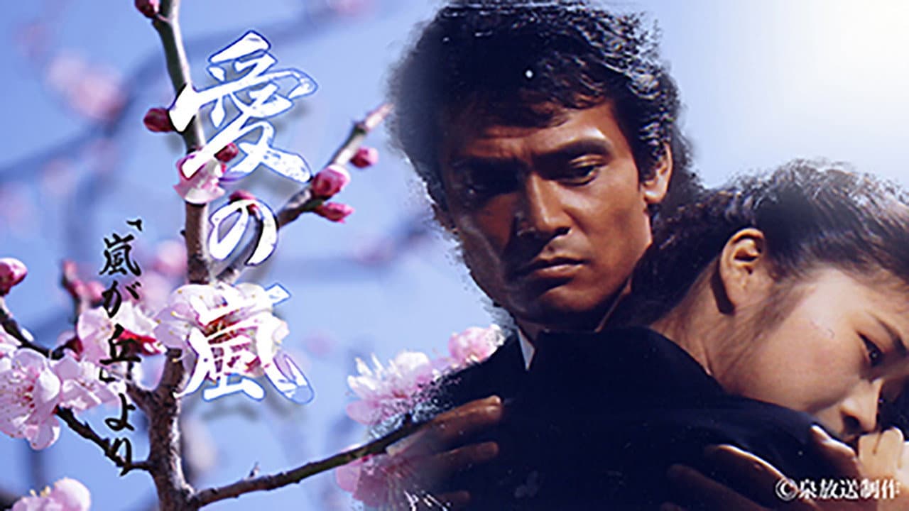愛の嵐