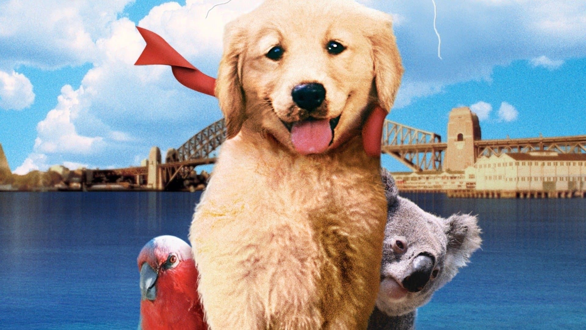 Napoleón, el perrito aventurero