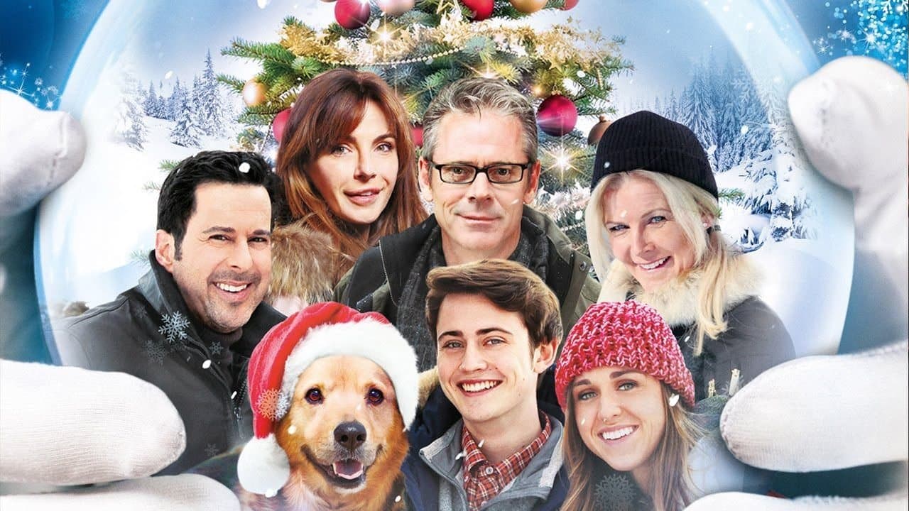 A Magic Christmas Collection