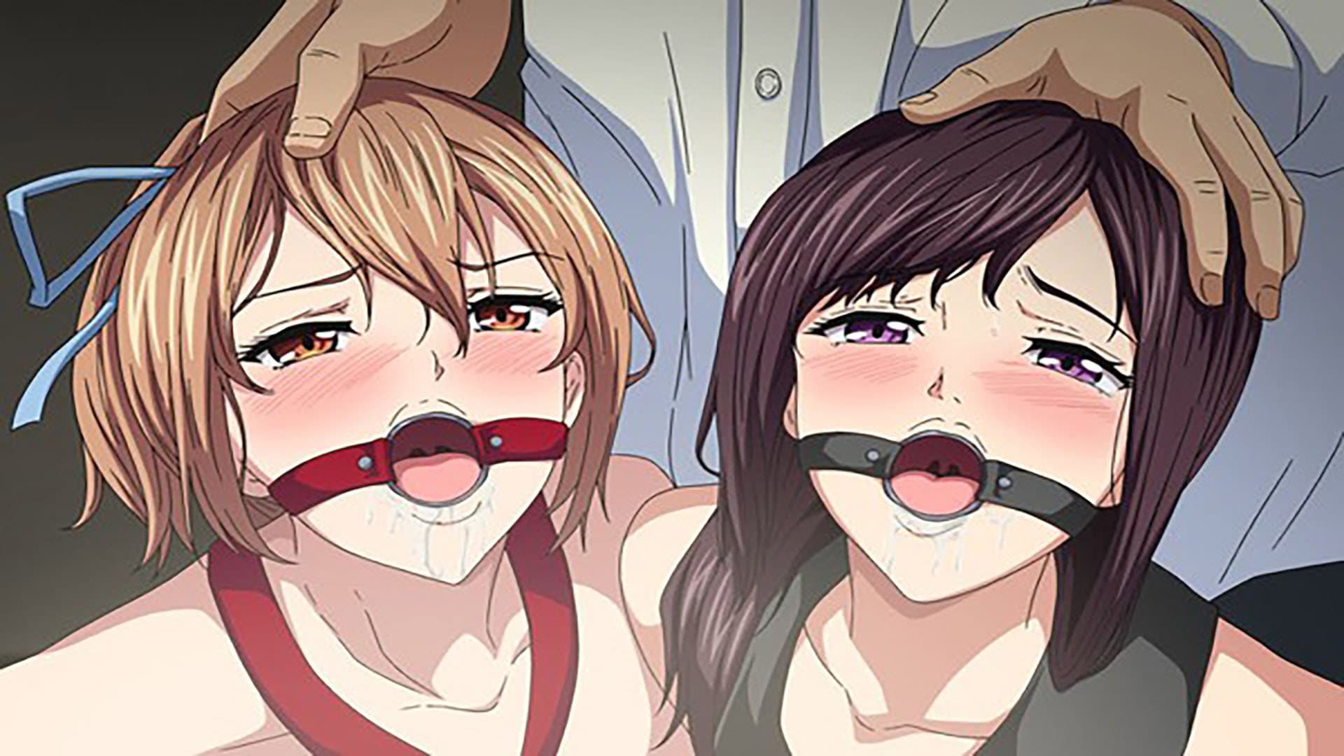 桜宮姉妹のネトラレ記録