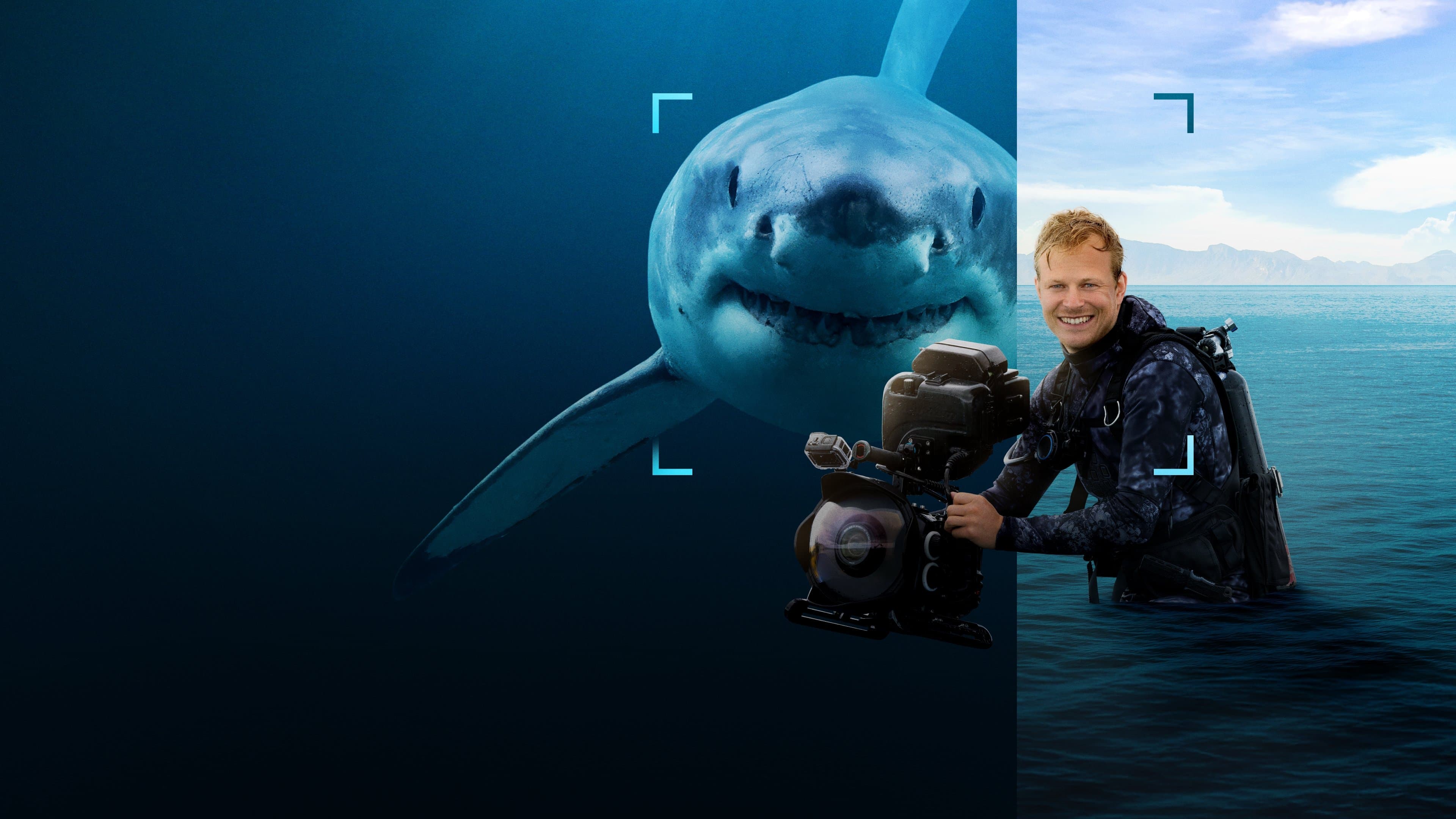 Tiburones De Cerca Con Bertie Gregory