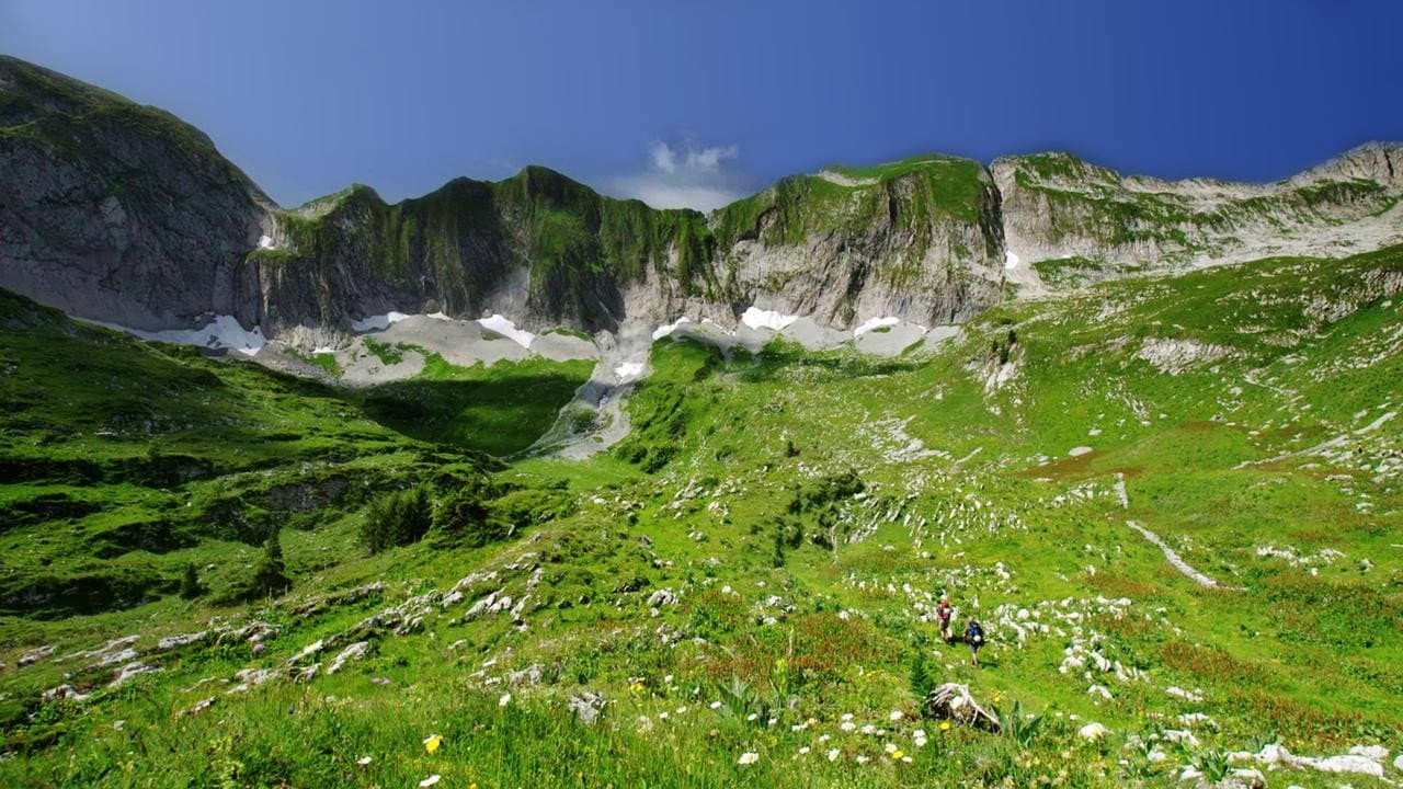 Unsere wilde Schweiz