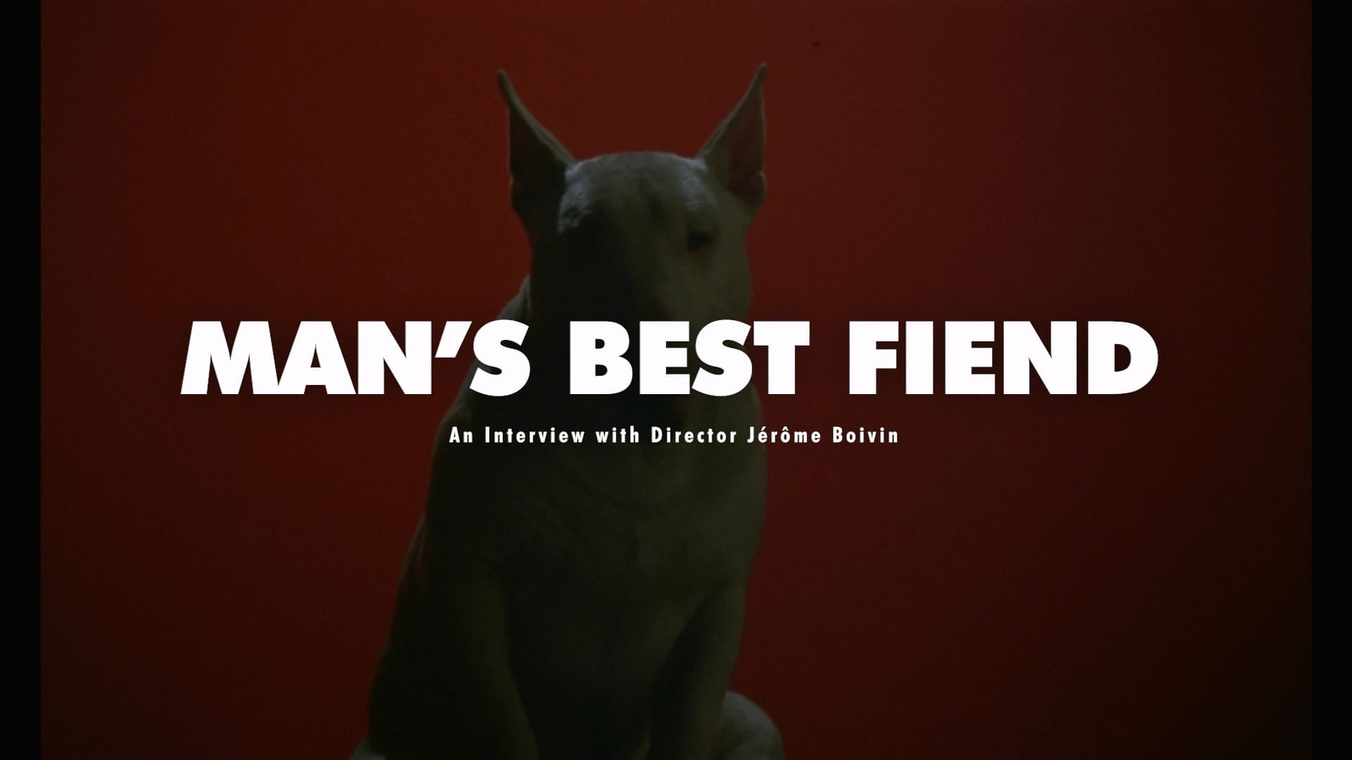 MAN'S BEST FIEND