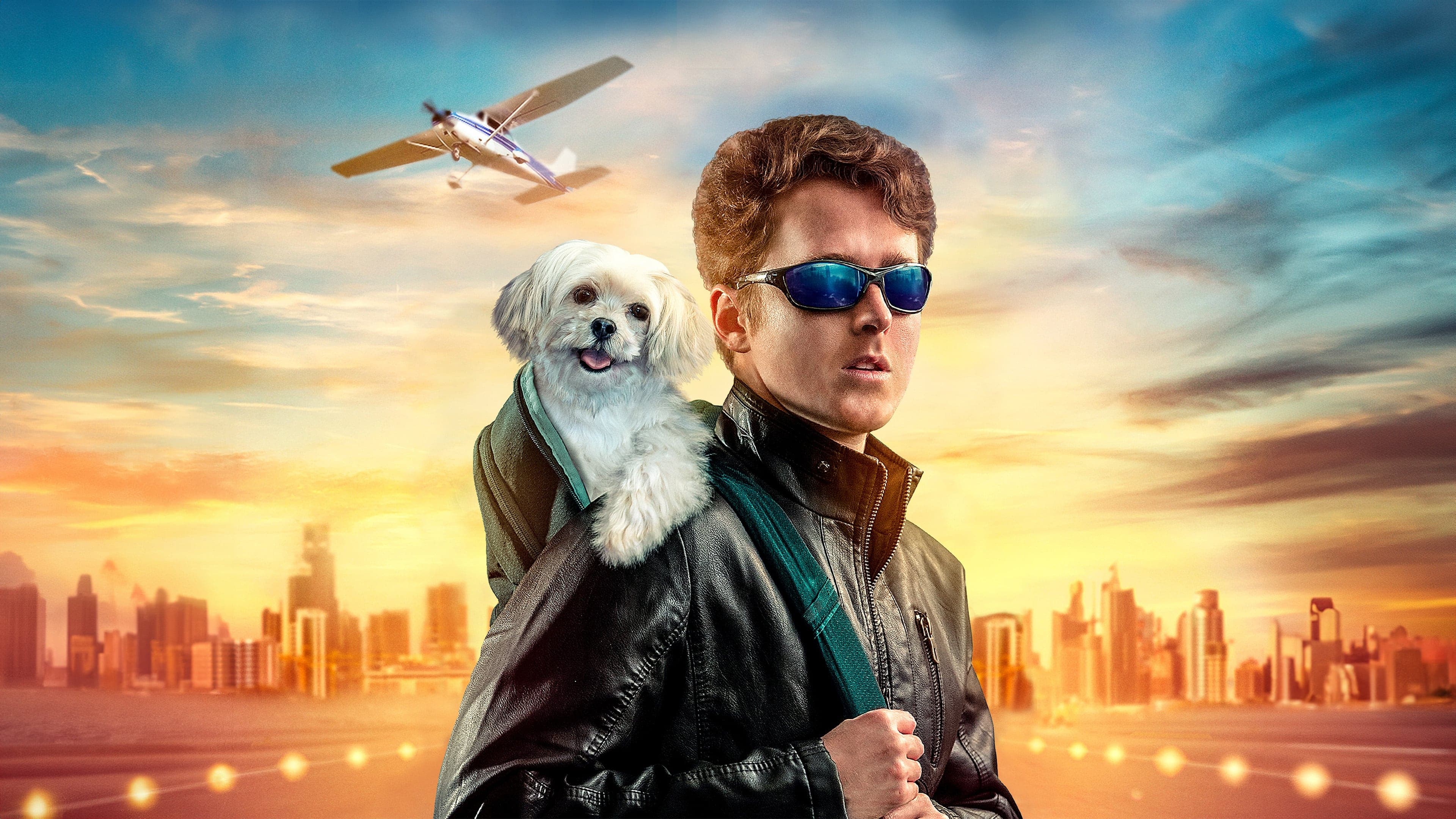 Perro aéreo
