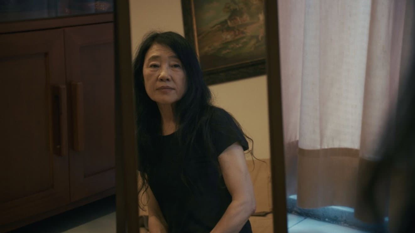 她的碎片