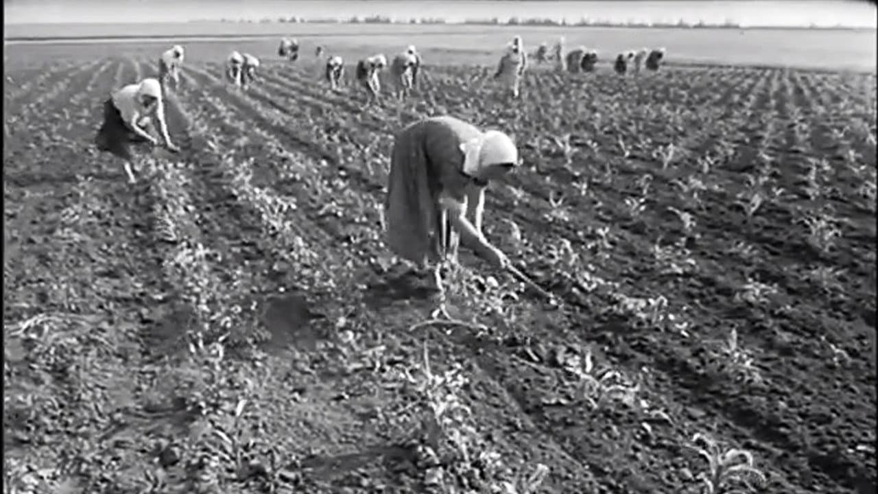 Освідчення в любові