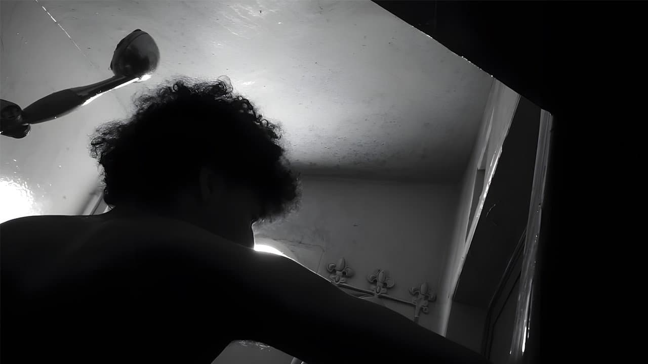 Shadows of Silence