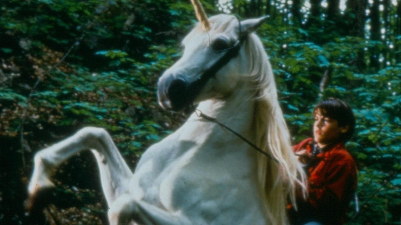 Nico, el unicornio