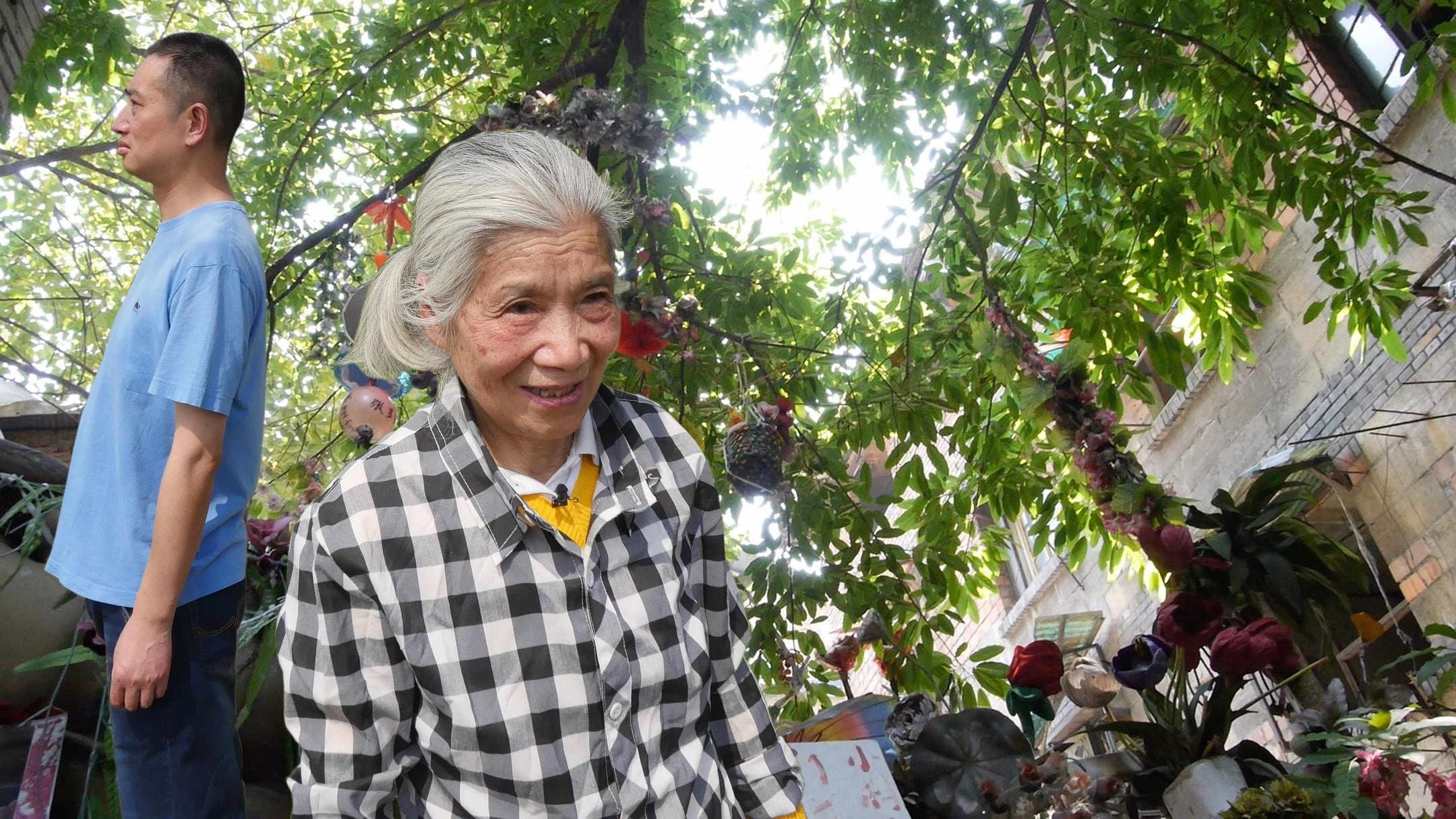 胡阿姨的花园