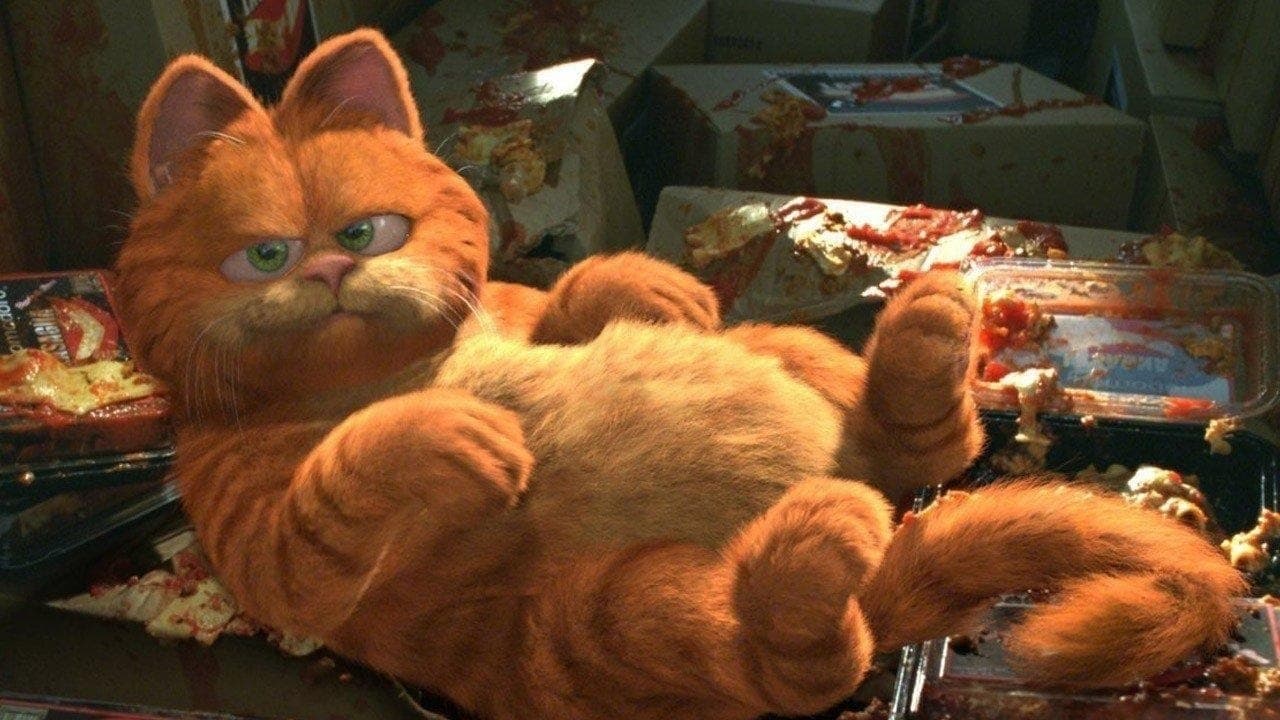 Garfield - Colección