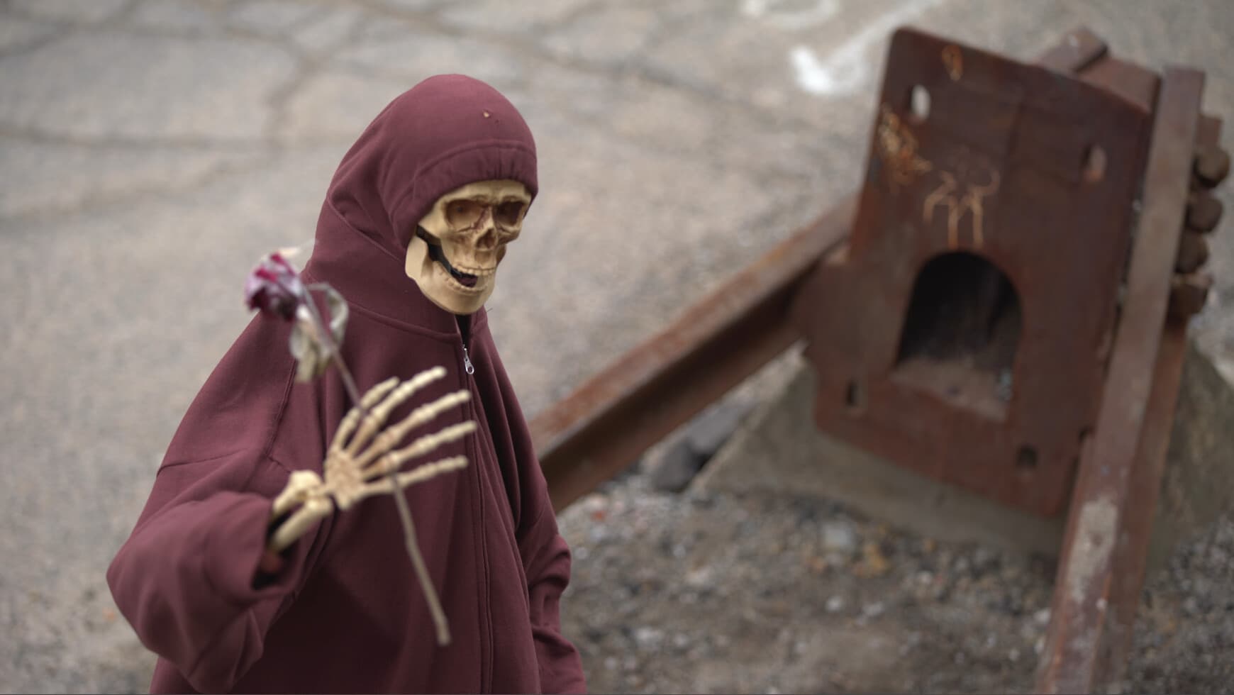 Bone