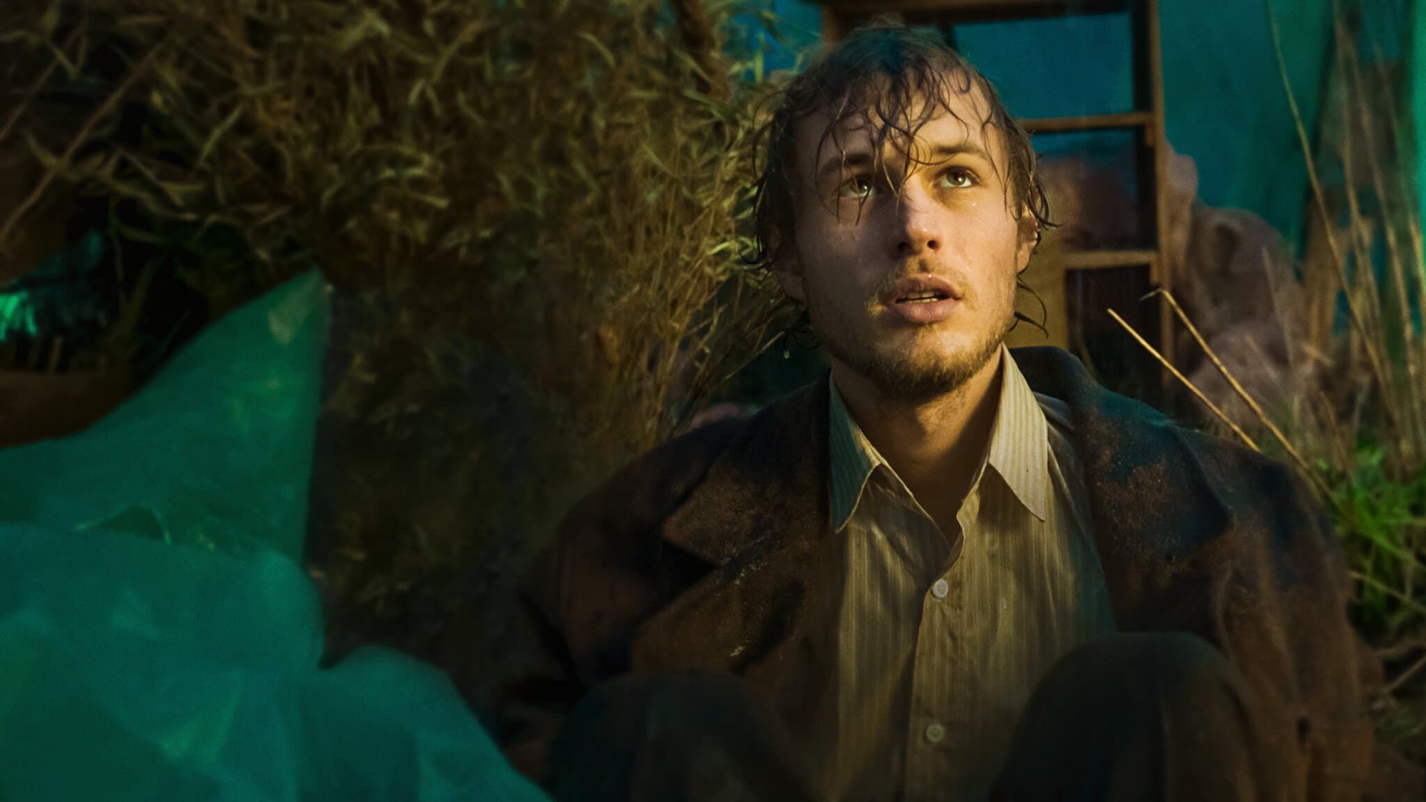 El Perfumista