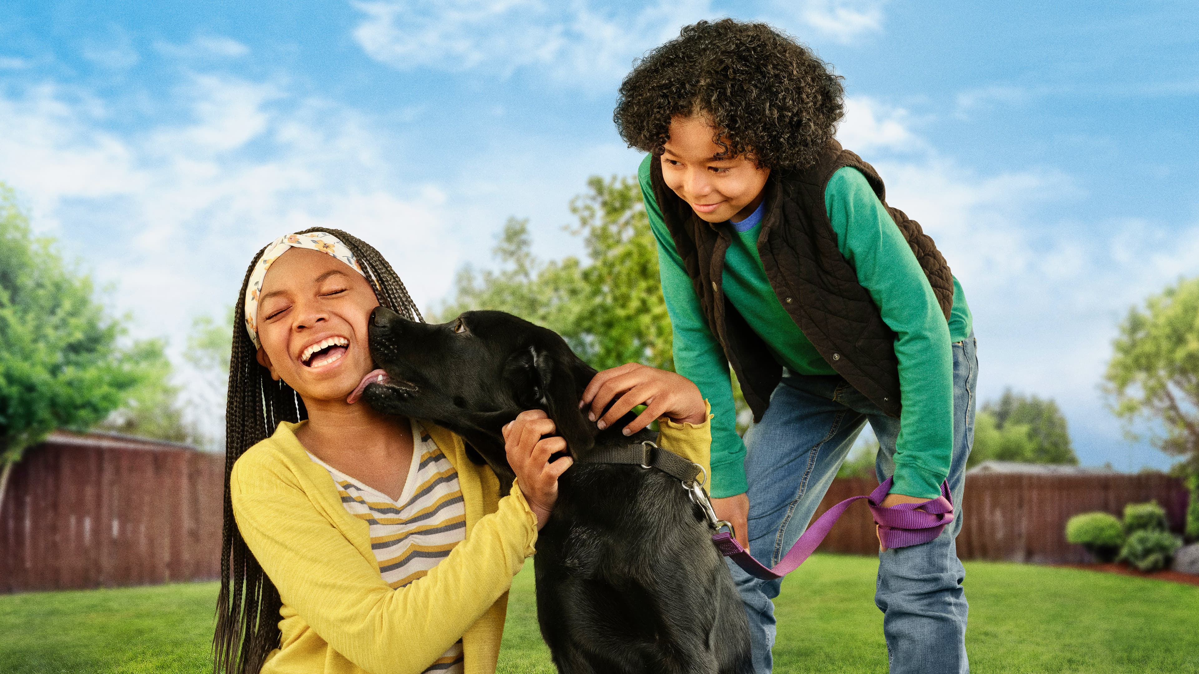 Perritos en busca de hogar