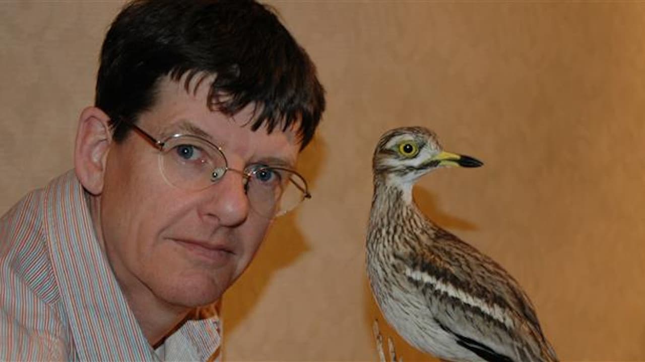 Taxidermy: Stuff the World