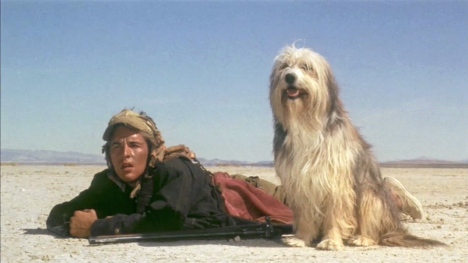 Un muchacho y su perro