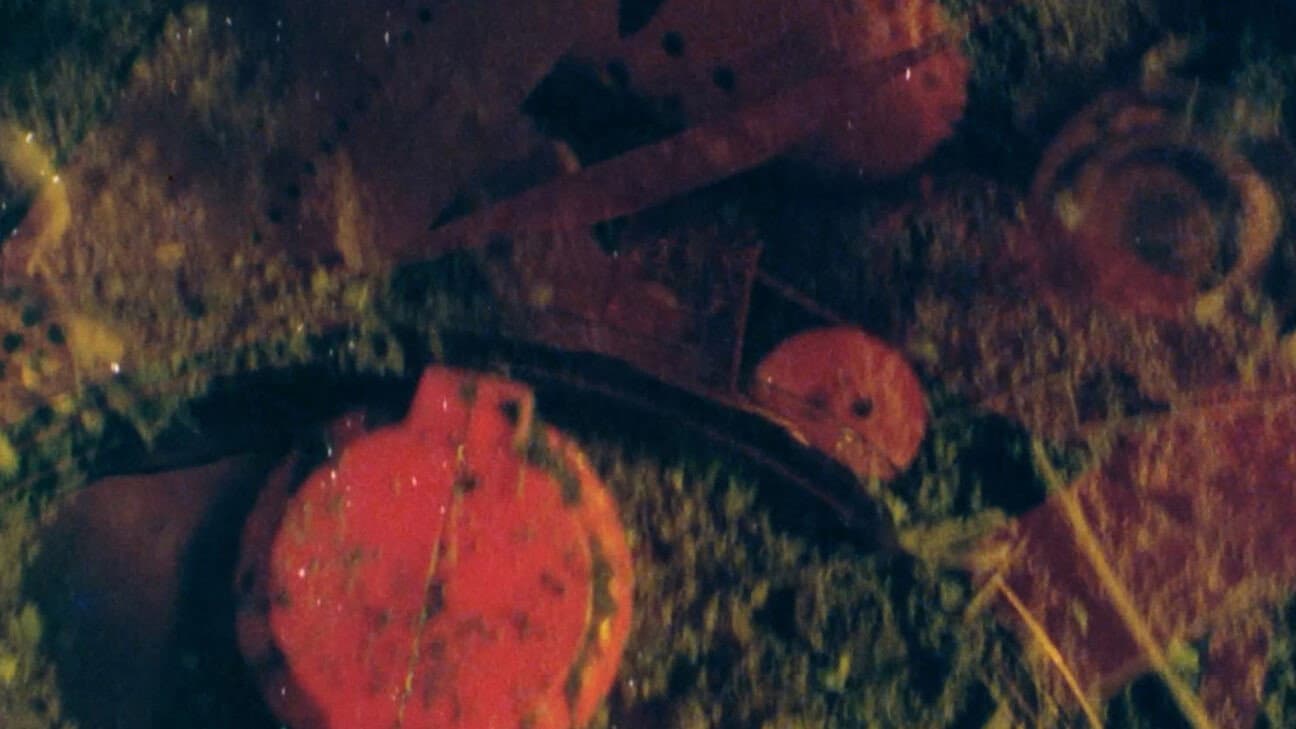 DETRITUS