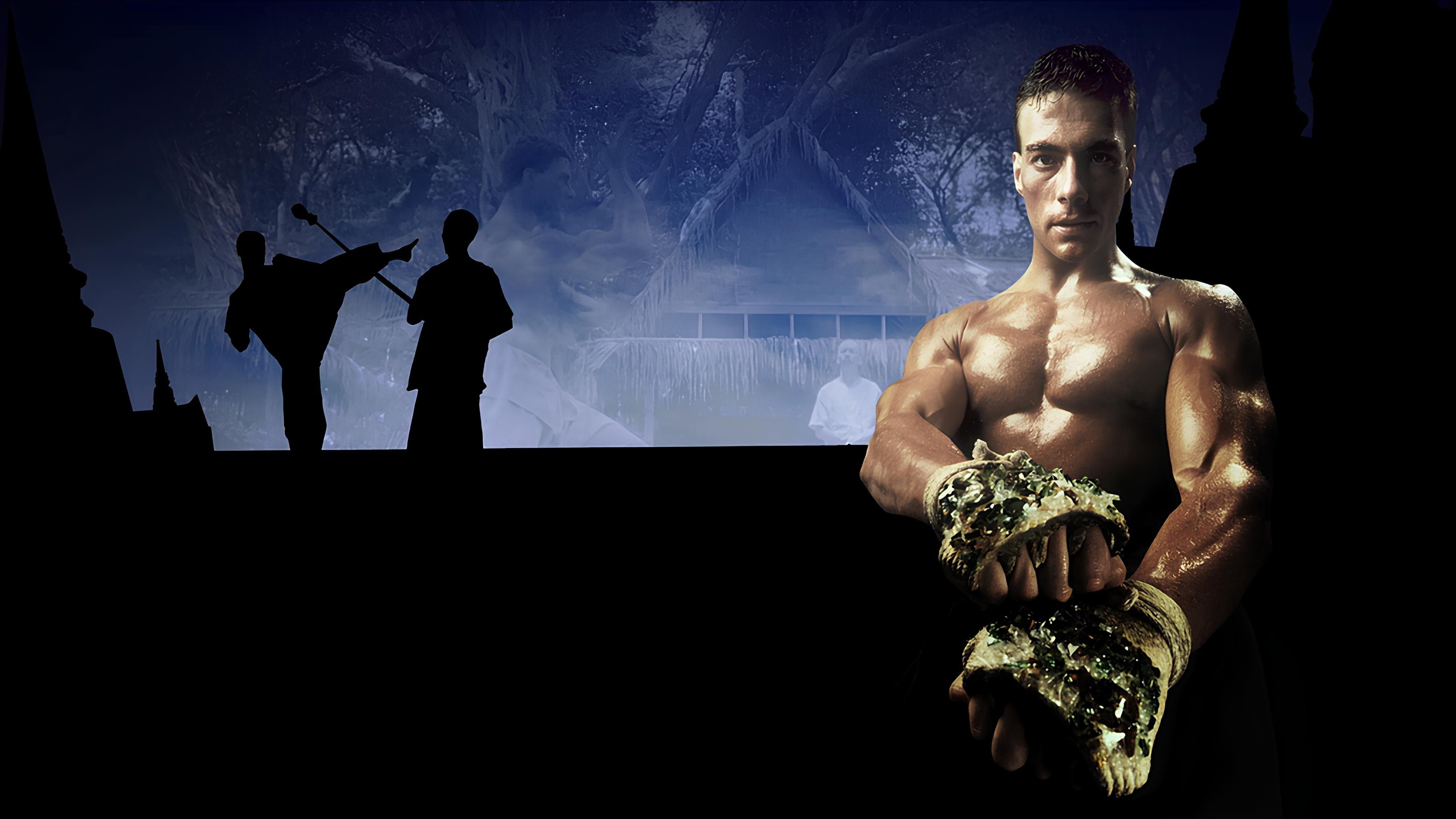 Kickboxer - Colección