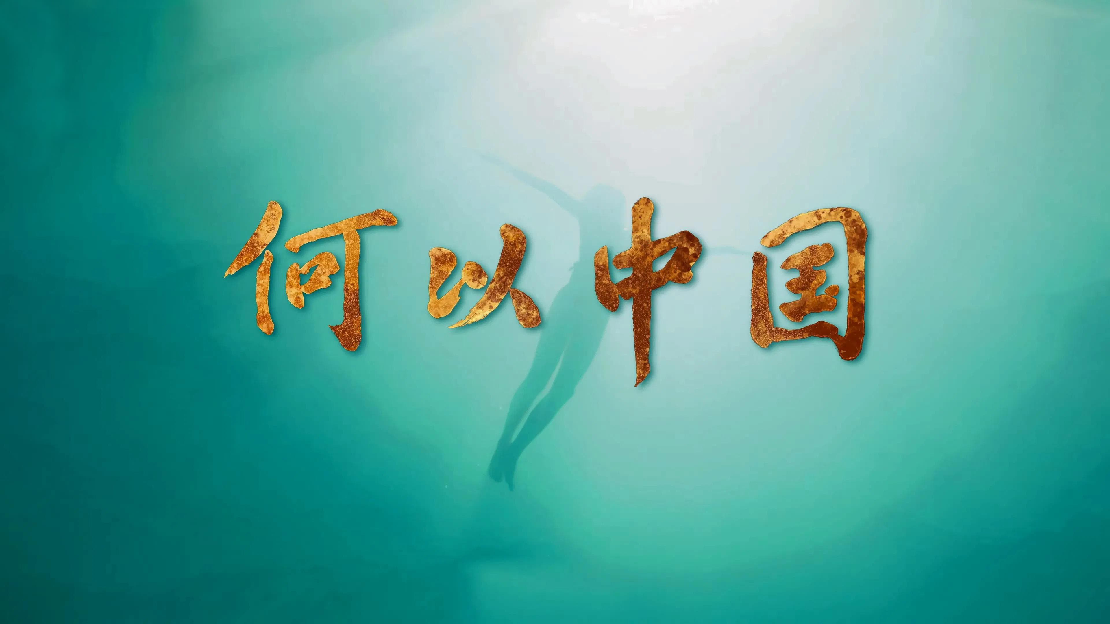何以中国