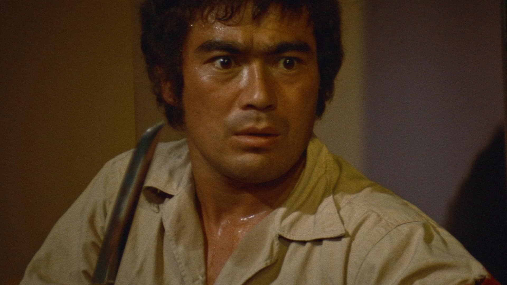 Masutatsu Oyama Trilogy