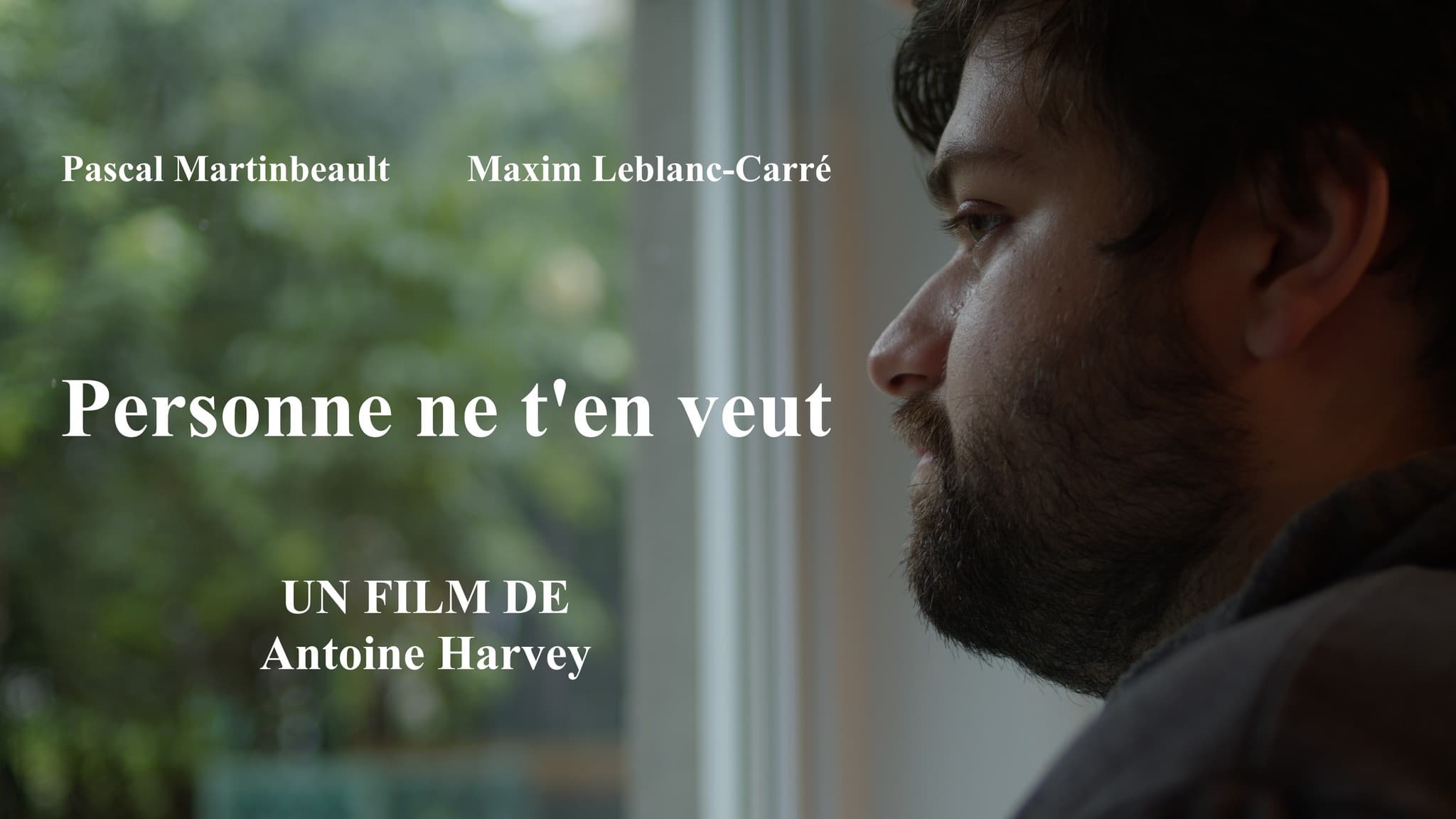 Personne ne t'en veut