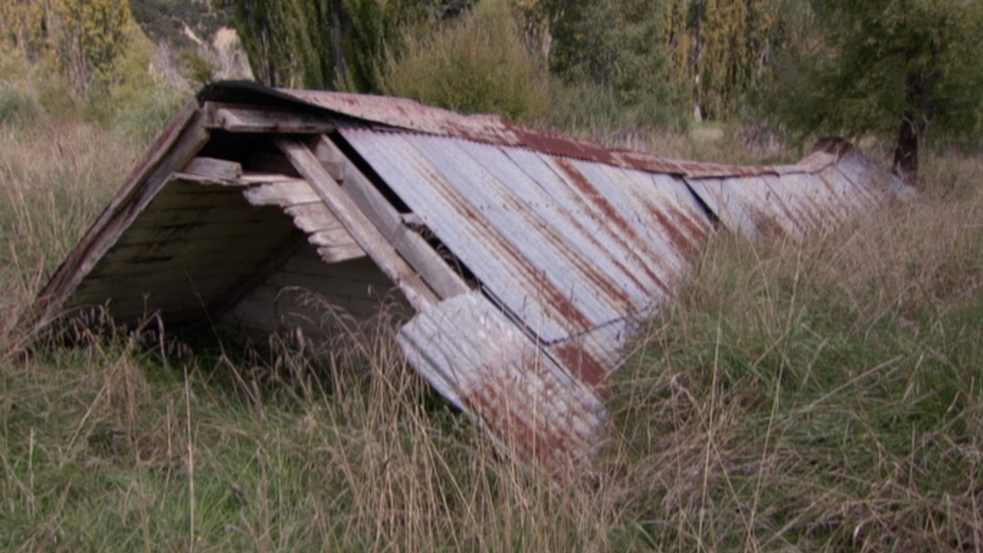 Saving Grace - Te Whakarauora Tangata