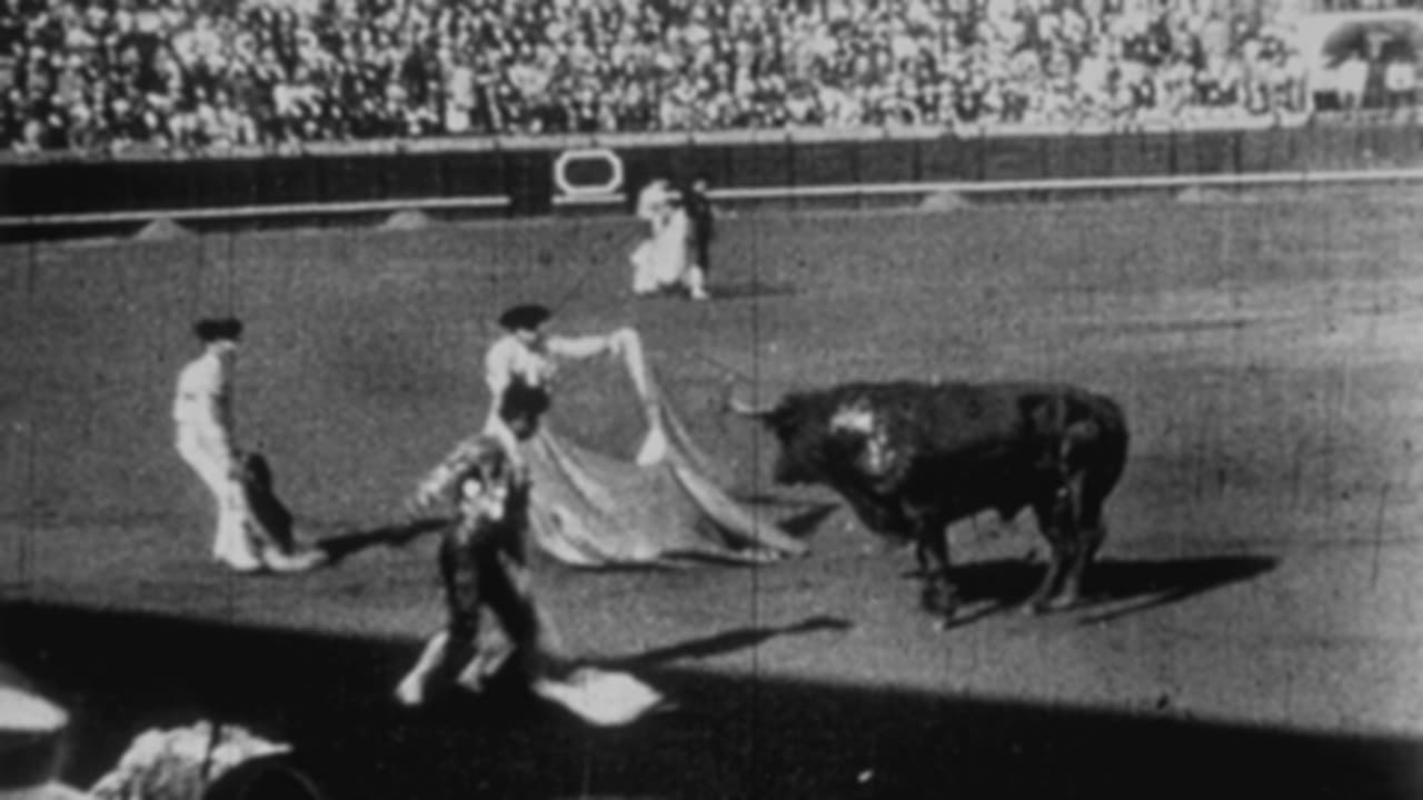 Espagne : courses de taureaux
