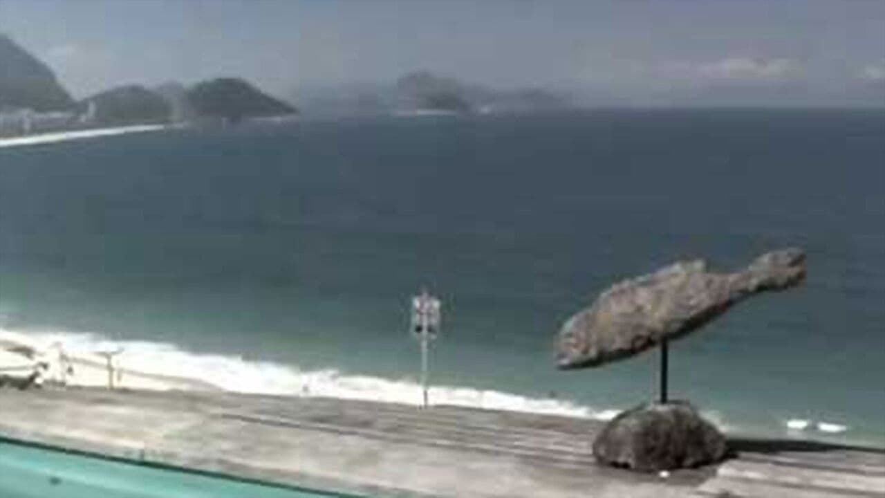 Um lugar ao sol