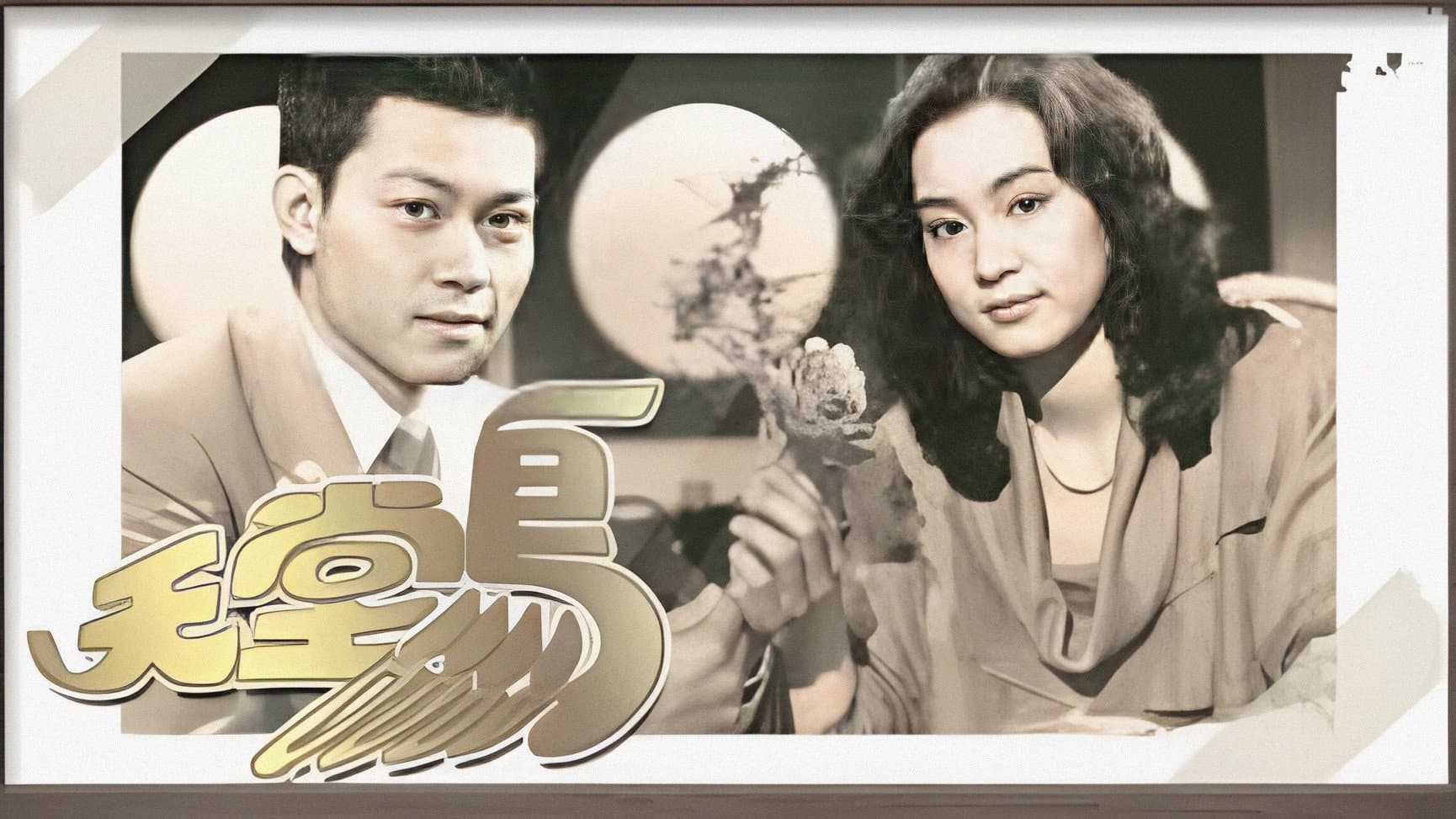 天堂鳥