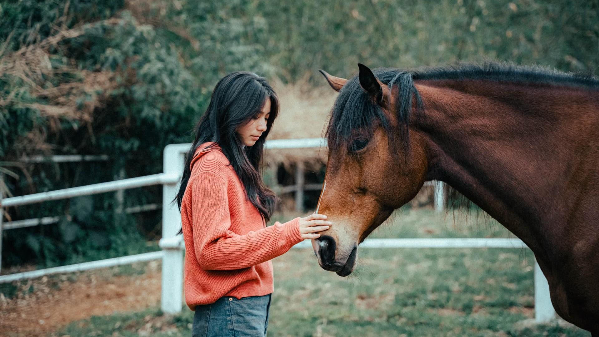 不馴