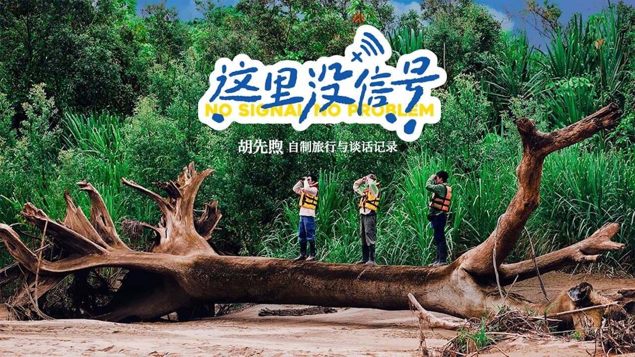 这里没信号