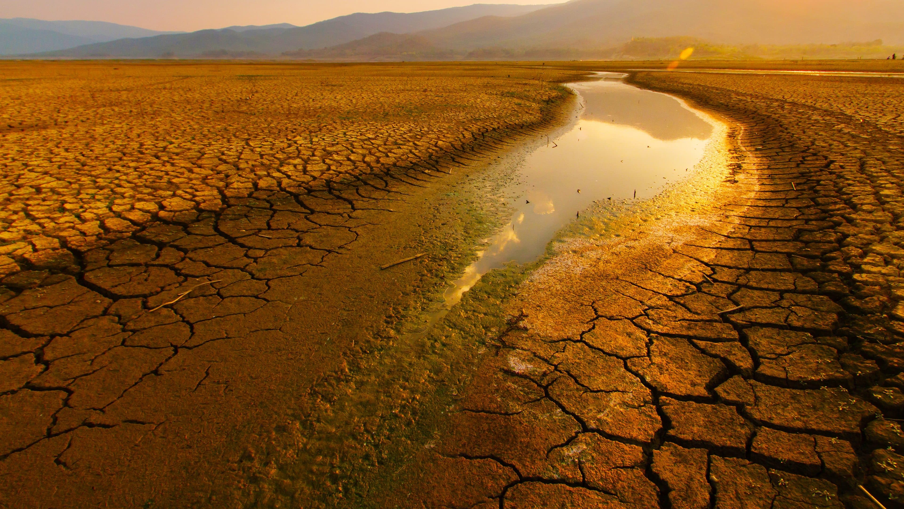 Un mundo sin agua