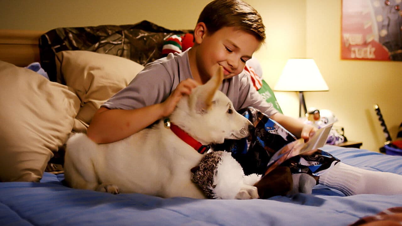 Un perro en Navidad