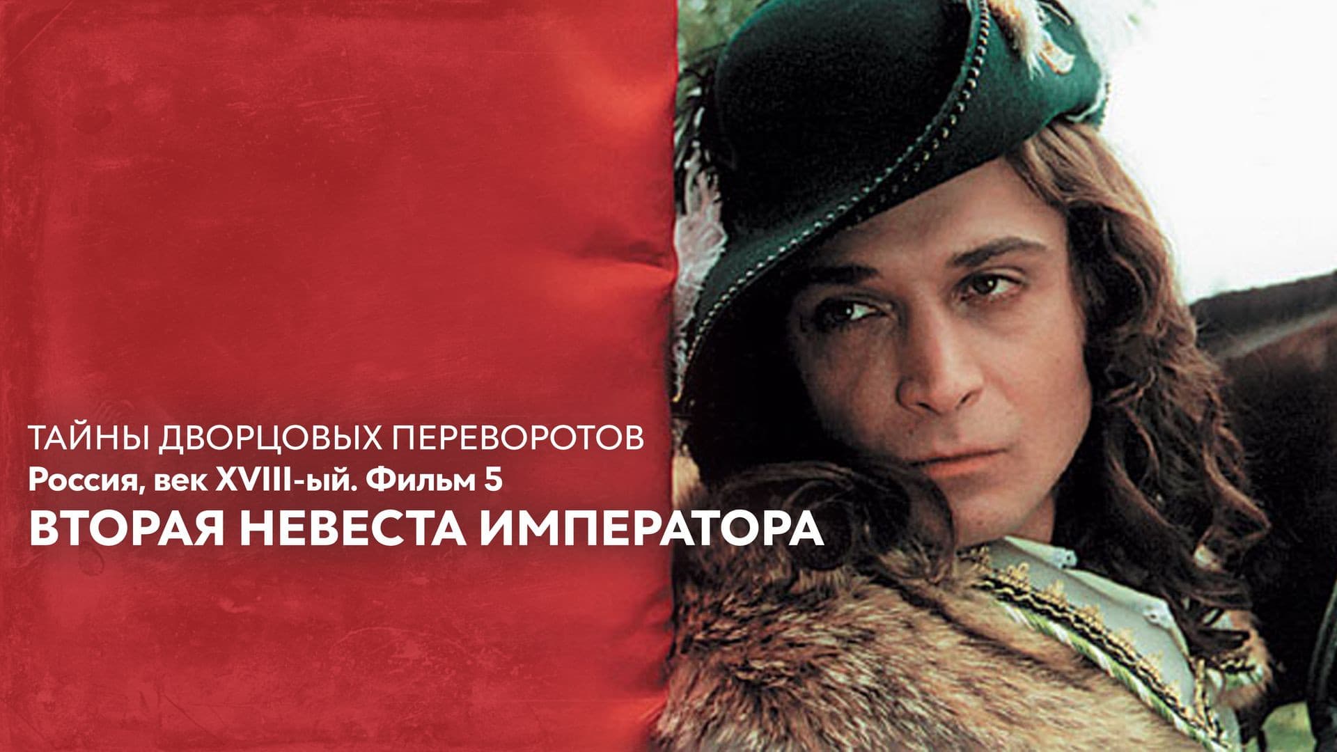 Тайны дворцовых переворотов