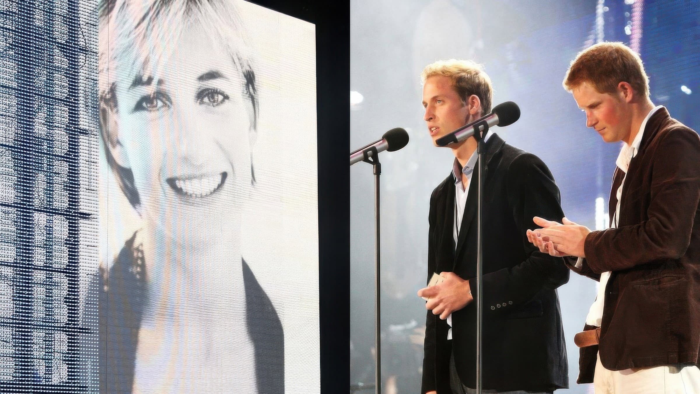 Concert for Diana