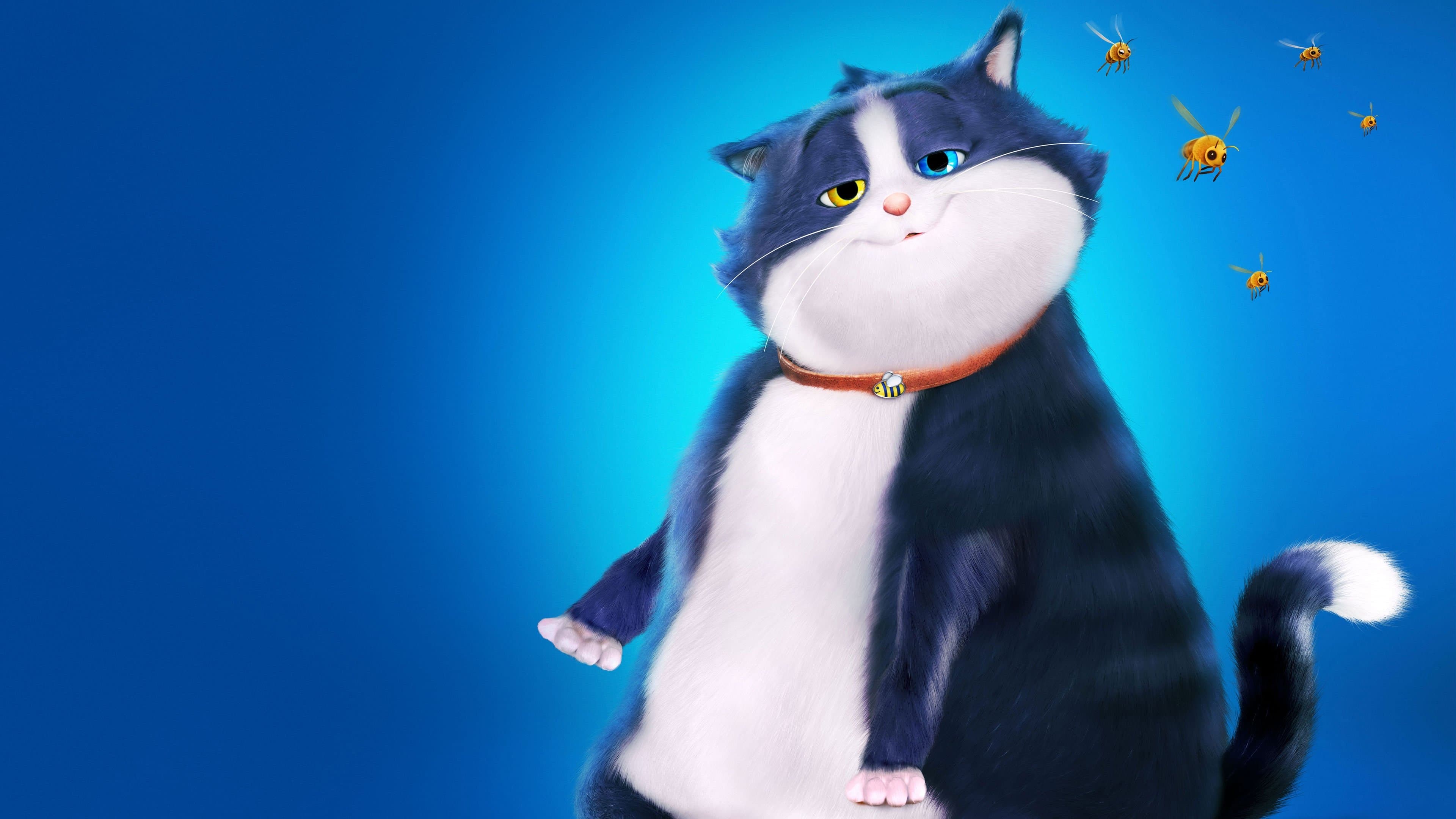 Un Gato con Suerte