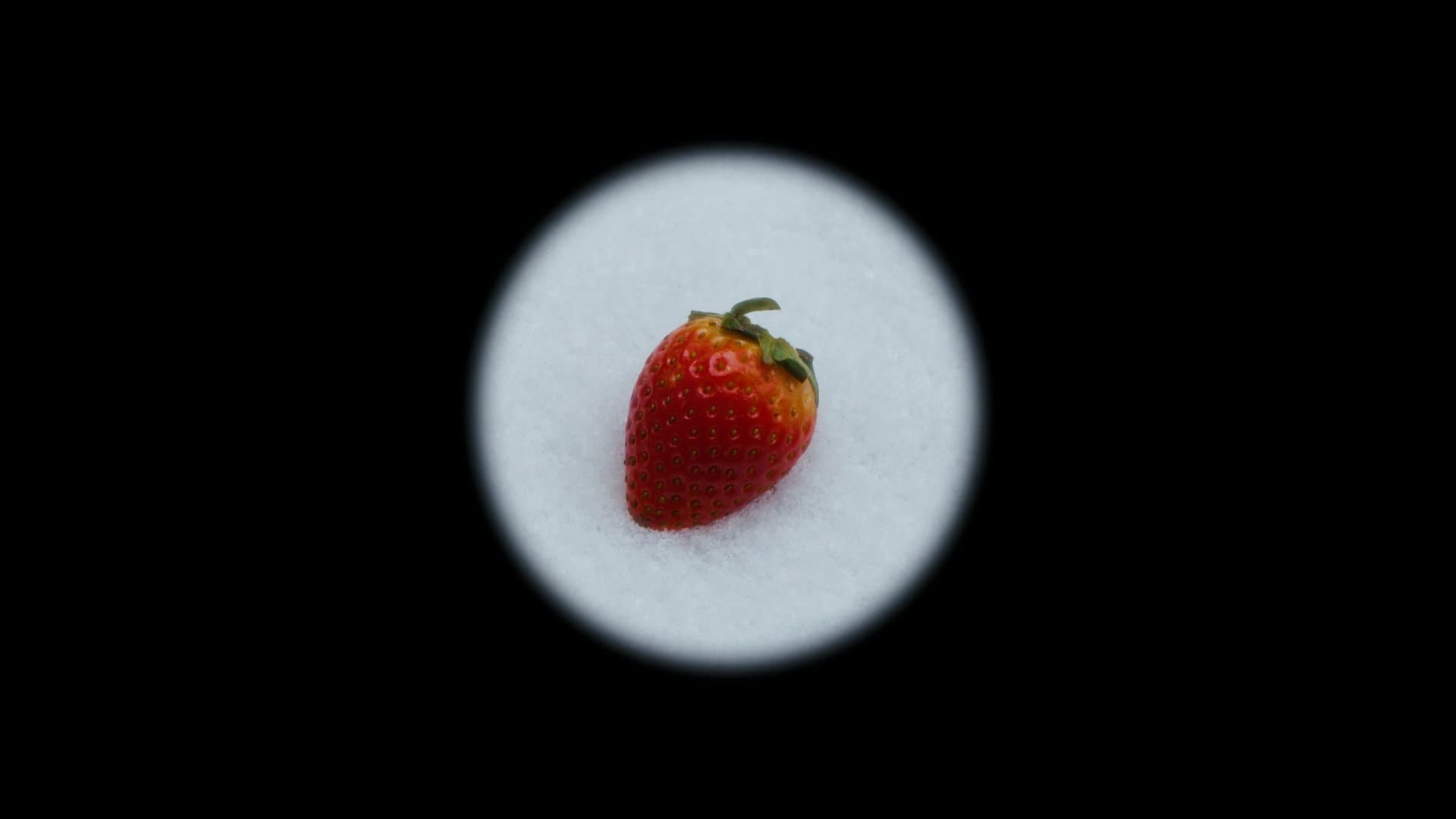 Maruška ou l'histoire d'une vraie fausse fraise en hiver