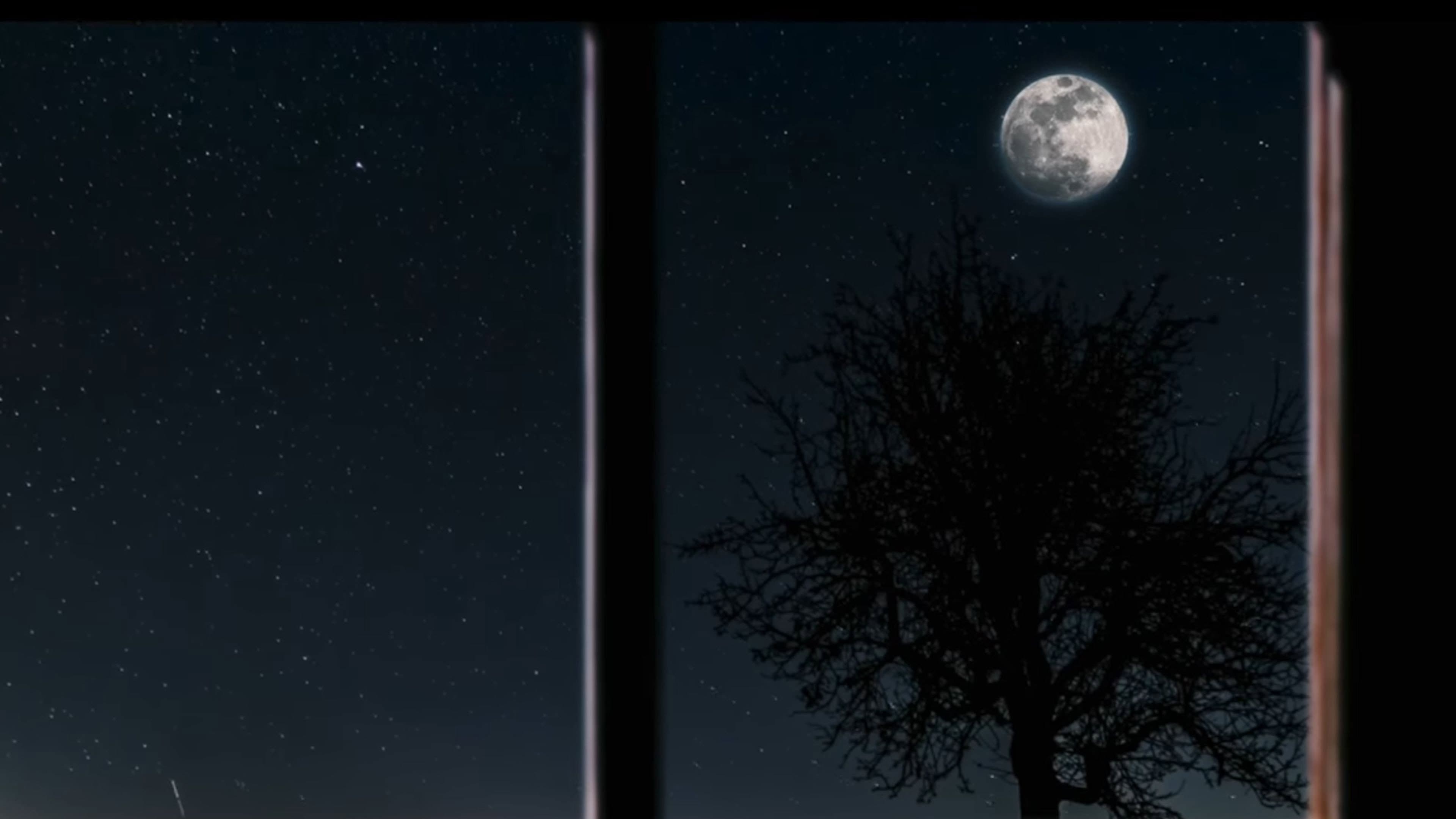 Moon Town