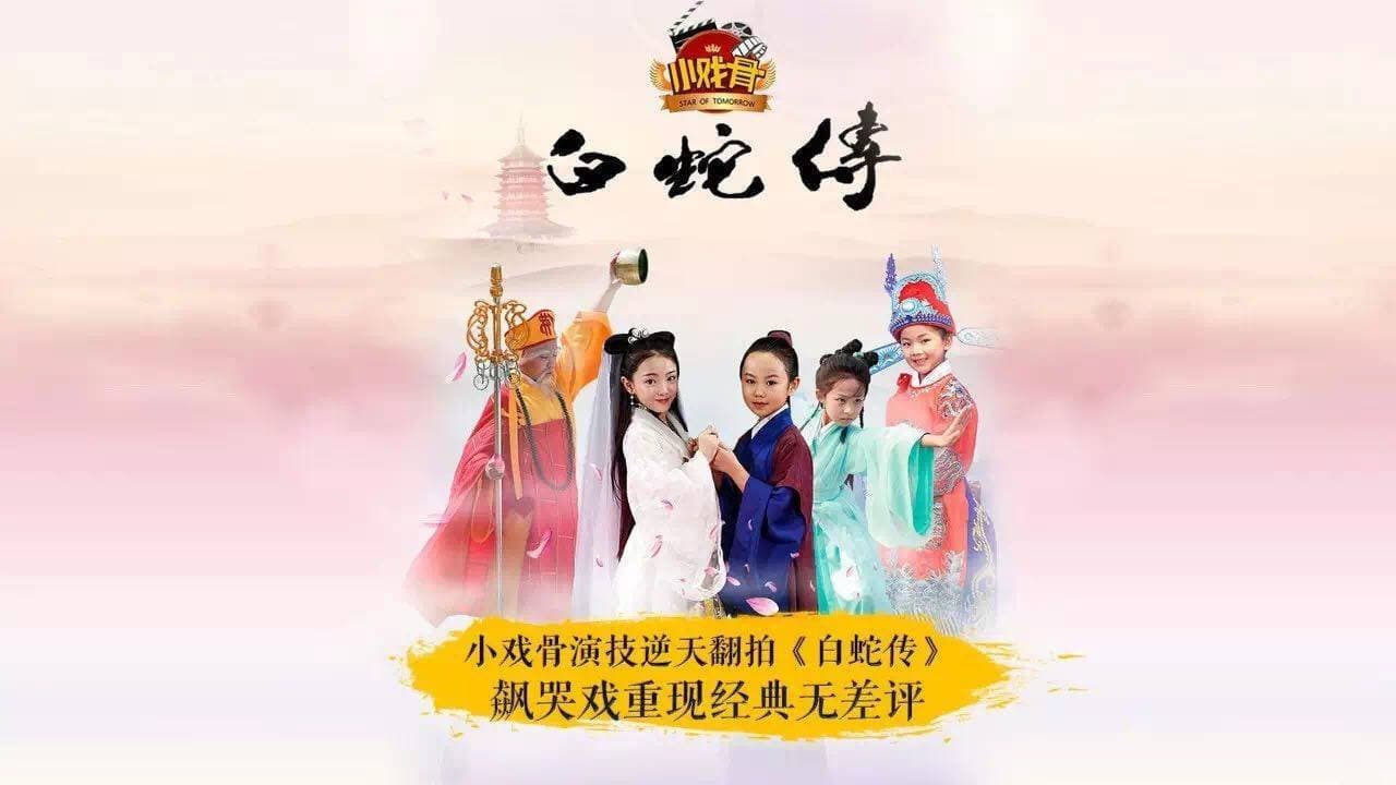 小戏骨（系列）