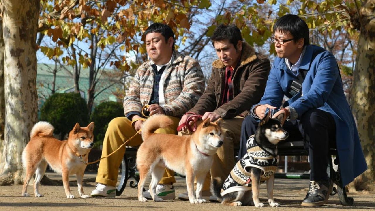 柴公園