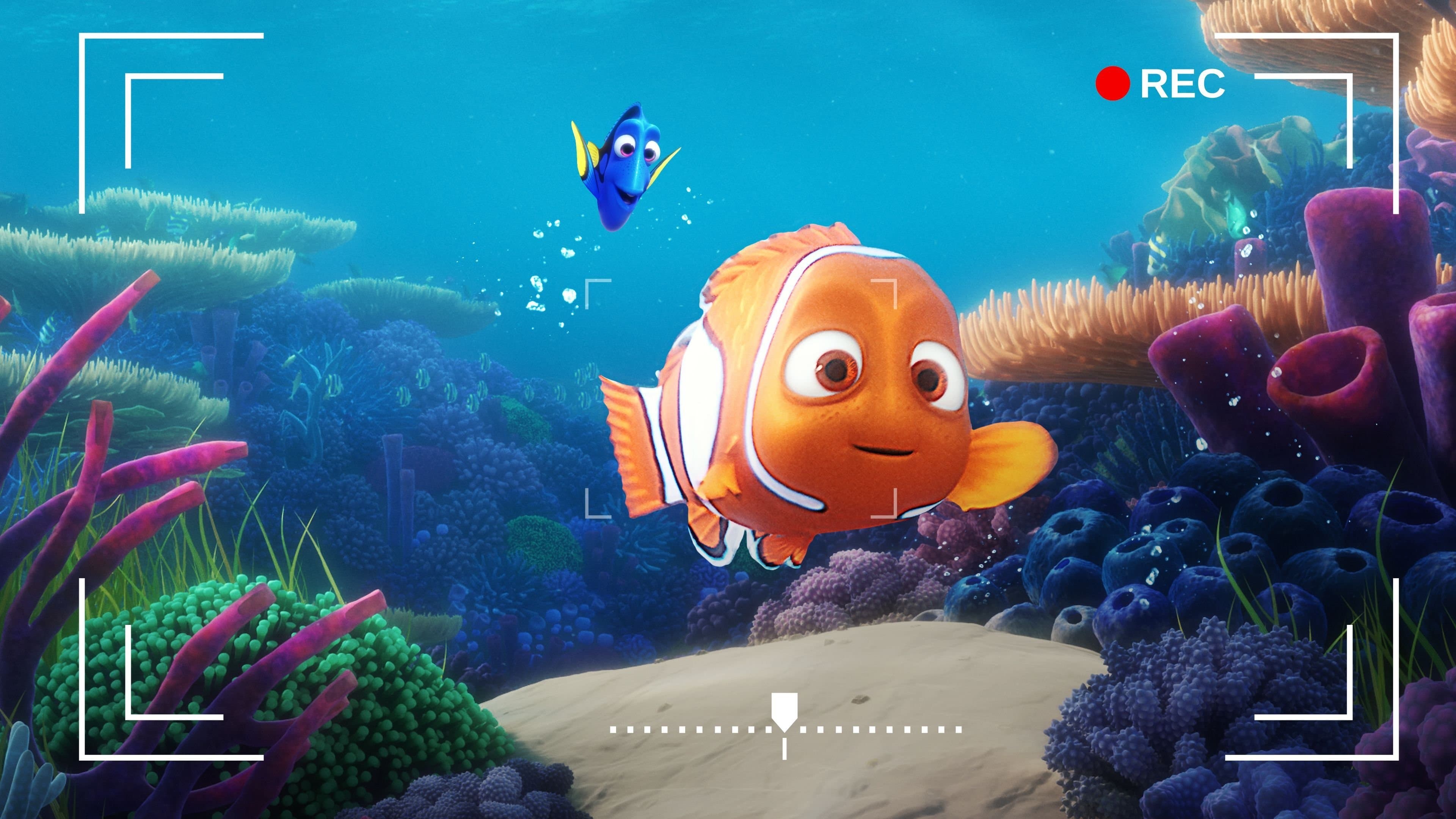 El arrecife de Dory
