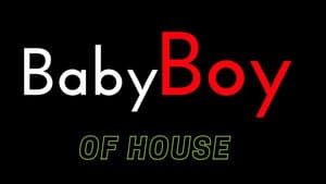 Baby Boy of House — foto 2