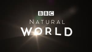Natural World — foto 1