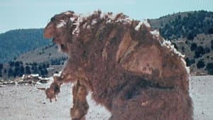 Godmonster of Indian Flats — foto 2