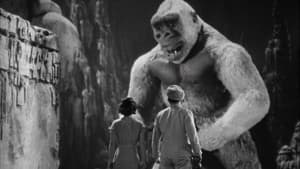El hijo de Kong — foto 8