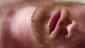 Gingers — foto 2